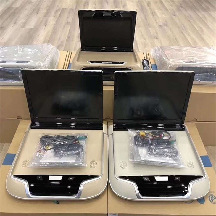 roof mount tv for car