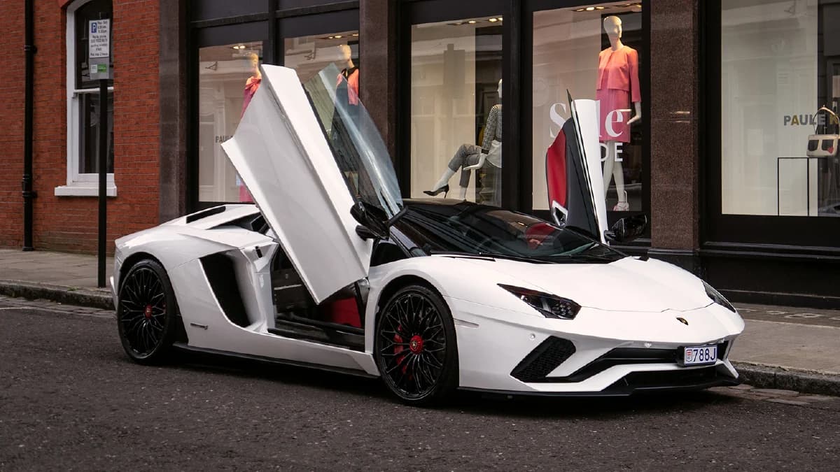 Front-Hinged Scissor Doors